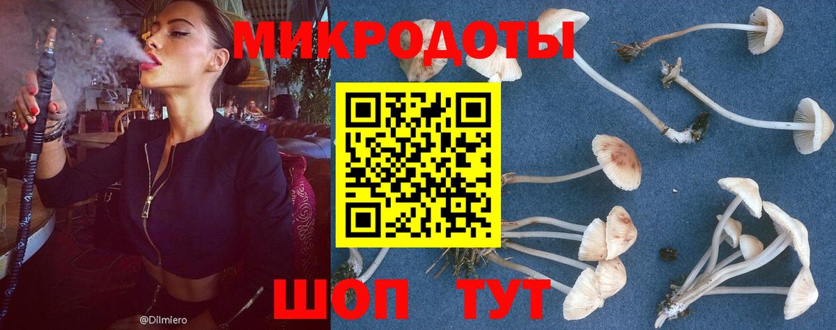 Псилоцибиновые грибы Magic Shrooms  Вход с VPN  Татарск 