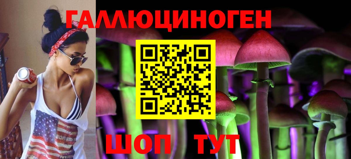 Галлюциногенные грибы GOLDEN TEACHER Татарск